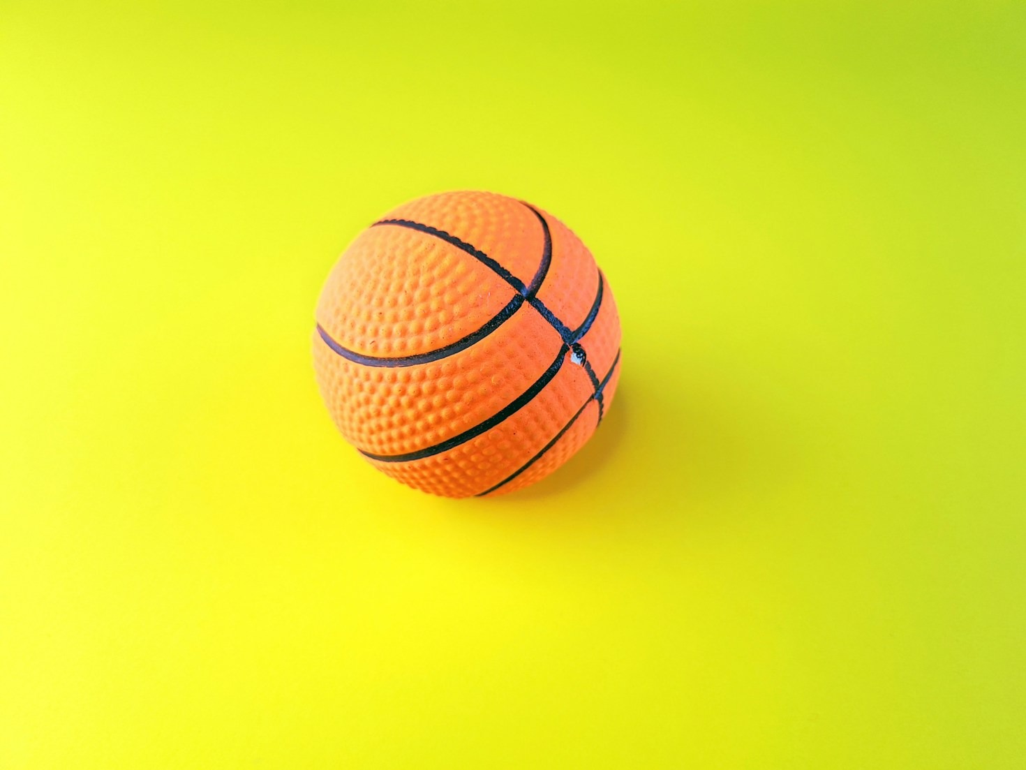 How Fans are Shaping Greeley’s Sports Scene