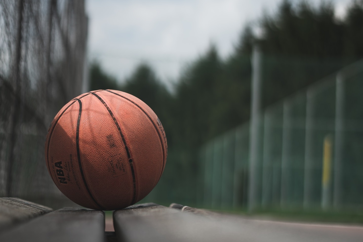 Unforgettable Stories from Greeley’s Sports Enthusiasts
